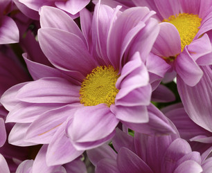 Similar image 128835