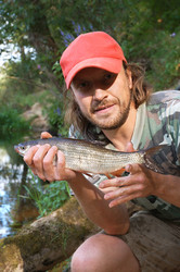 Similar image 128842