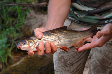 Similar image 128844