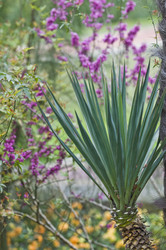 Similar image 128872