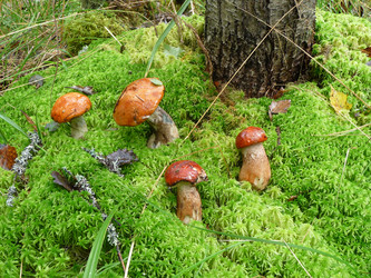 Similar image 128991