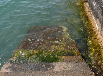 Similar image 128993