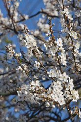 Similar image 129004