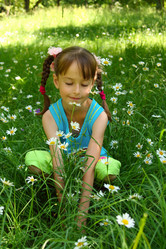 Similar image 129034