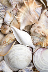 Similar image 129062