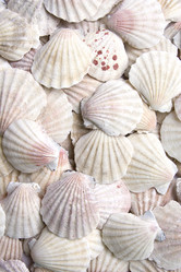 Similar image 129064