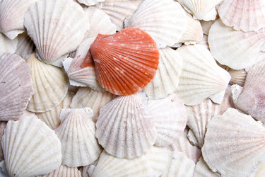 Similar image 129066