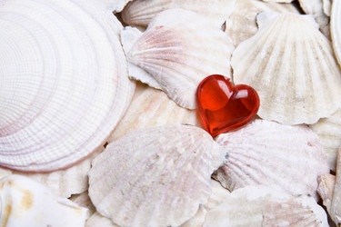 Similar image 129071