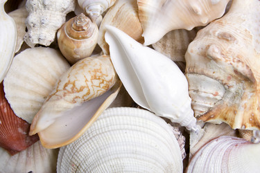 Similar image 129080