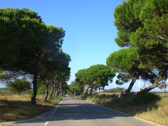 Similar image 129112