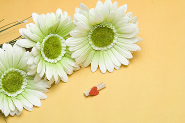 Similar image 129130