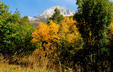 Similar image 129194