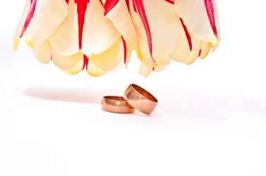 Similar image 129201