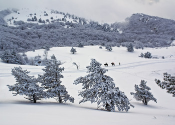 Similar image 129203