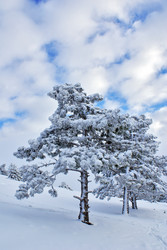 Similar image 129205