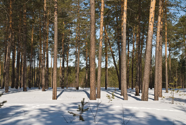 Similar image 129230