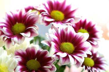 Similar image 129252