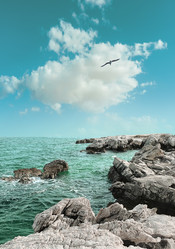 Similar image 129271