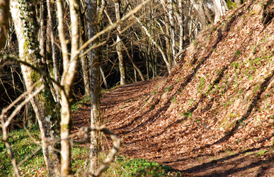 Similar image 129272