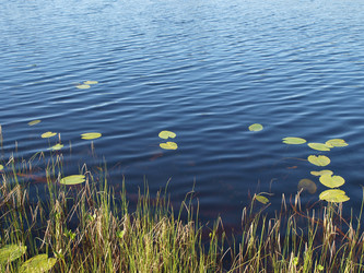 Similar image 129285