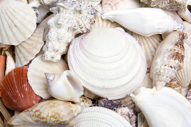 Similar image 129292