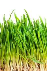 Similar image 129339