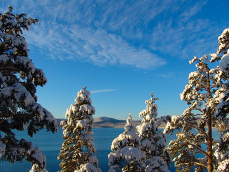 Similar image 129365