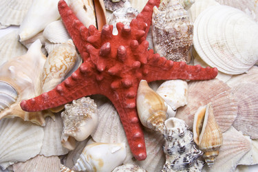 Similar image 129376