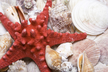 Similar image 129378