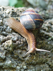 Similar image 129405