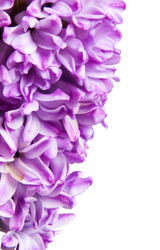 Similar image 129421