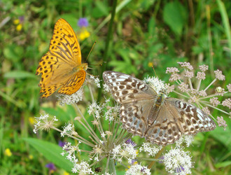 Similar image 129428