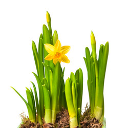 Similar image 129431