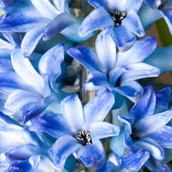 Similar image 129433