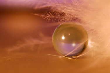 Similar image 129441