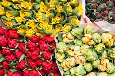 Similar image 129442