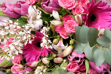 Similar image 129448