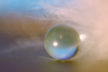 Similar image 129449