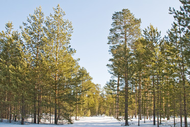 Similar image 129451