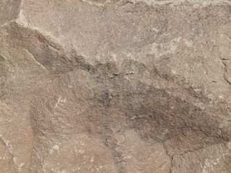 Similar image 129455