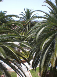 Similar image 129522