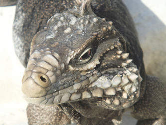 Similar image 129603