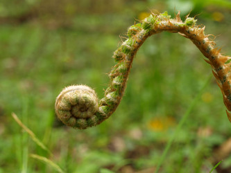 Similar image 129607