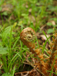 Similar image 129610