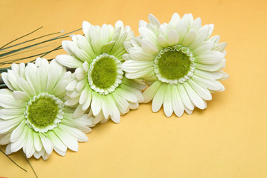 Similar image 129615