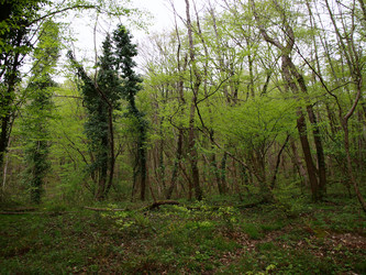 Similar image 129619