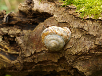 Similar image 129626