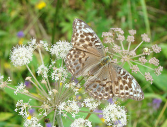 Similar image 129646