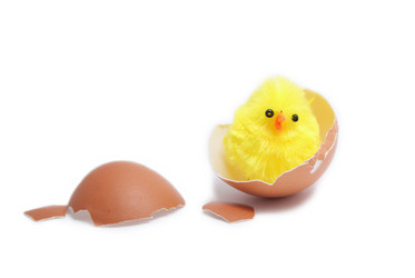 Similar image 129679