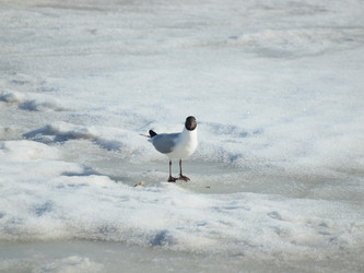 Similar image 129723